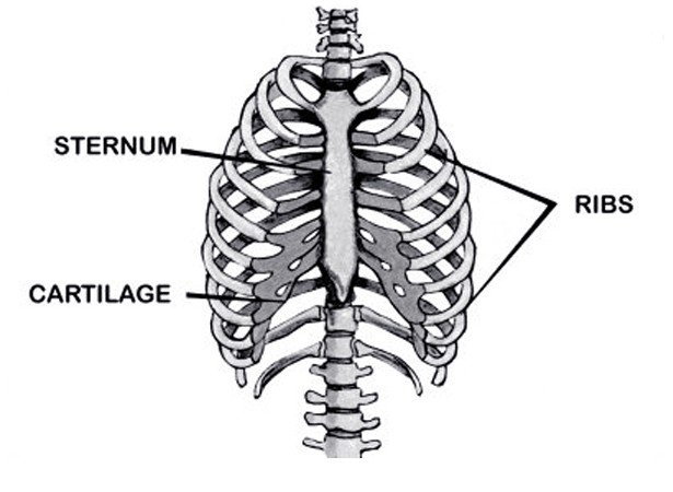 Sternum Popping - Causes and Treatment - (2018 - Updated)