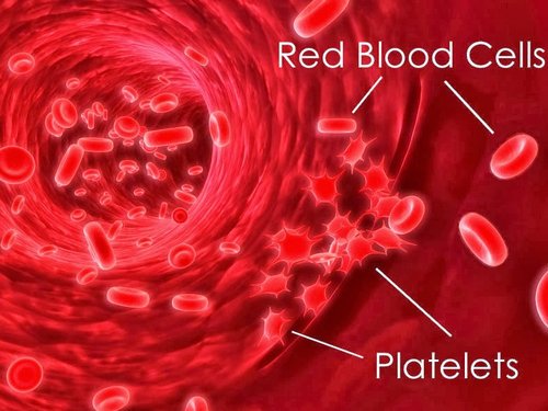 mpv-blood-test-what-does-it-mean-high-low-normal-range