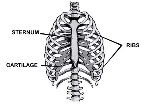 Sternum pain and popping