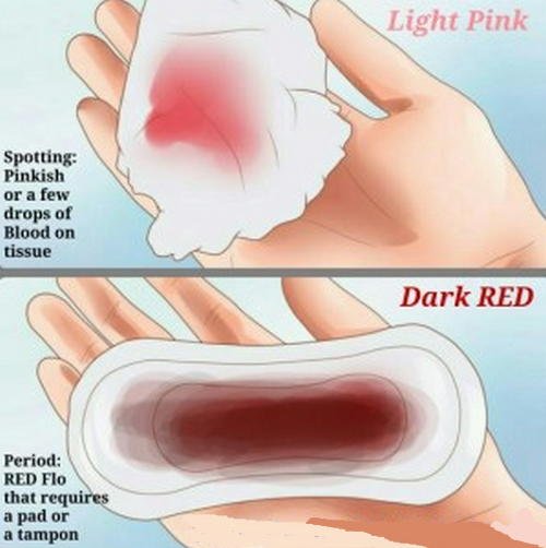 difference-between-implantation-bleeding-and-period-pictures-picturemeta