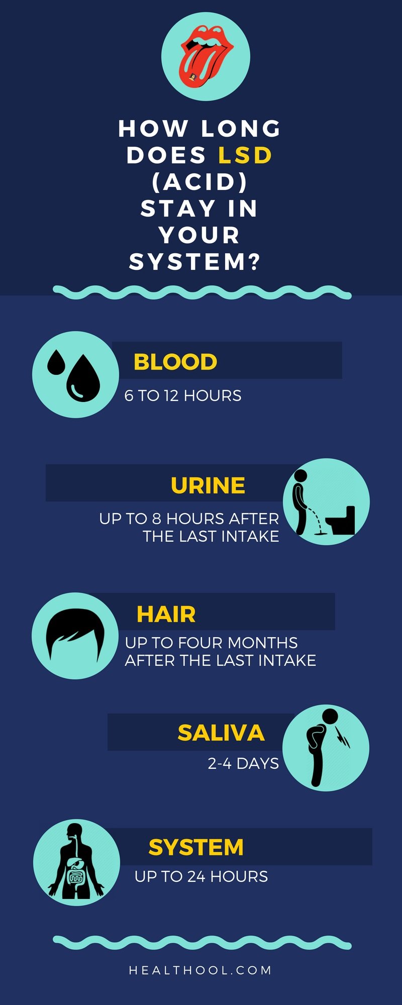 How Long Does LSD (Acid) Stay in Your System infographic