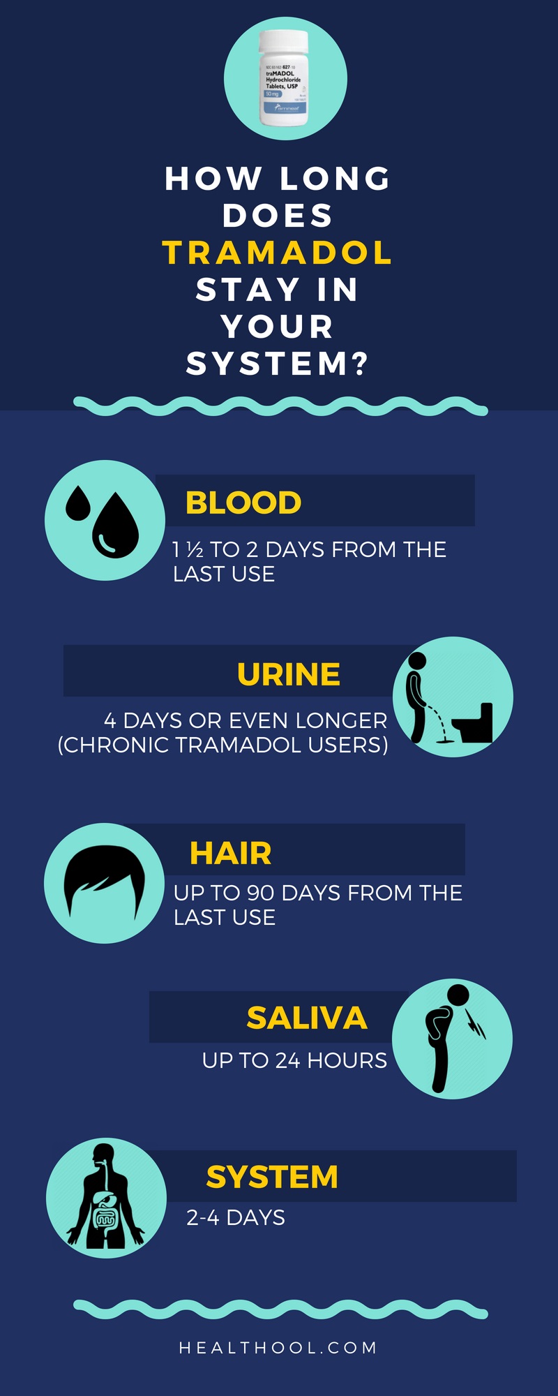 How long does Tramadol stay in your system infographic