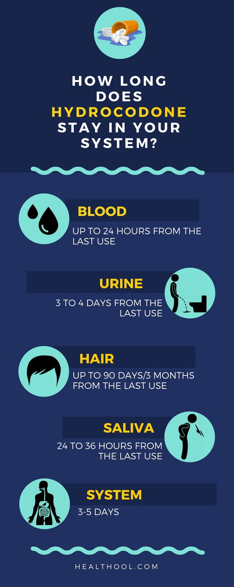 How long does hydrocodone stay in your system infographic